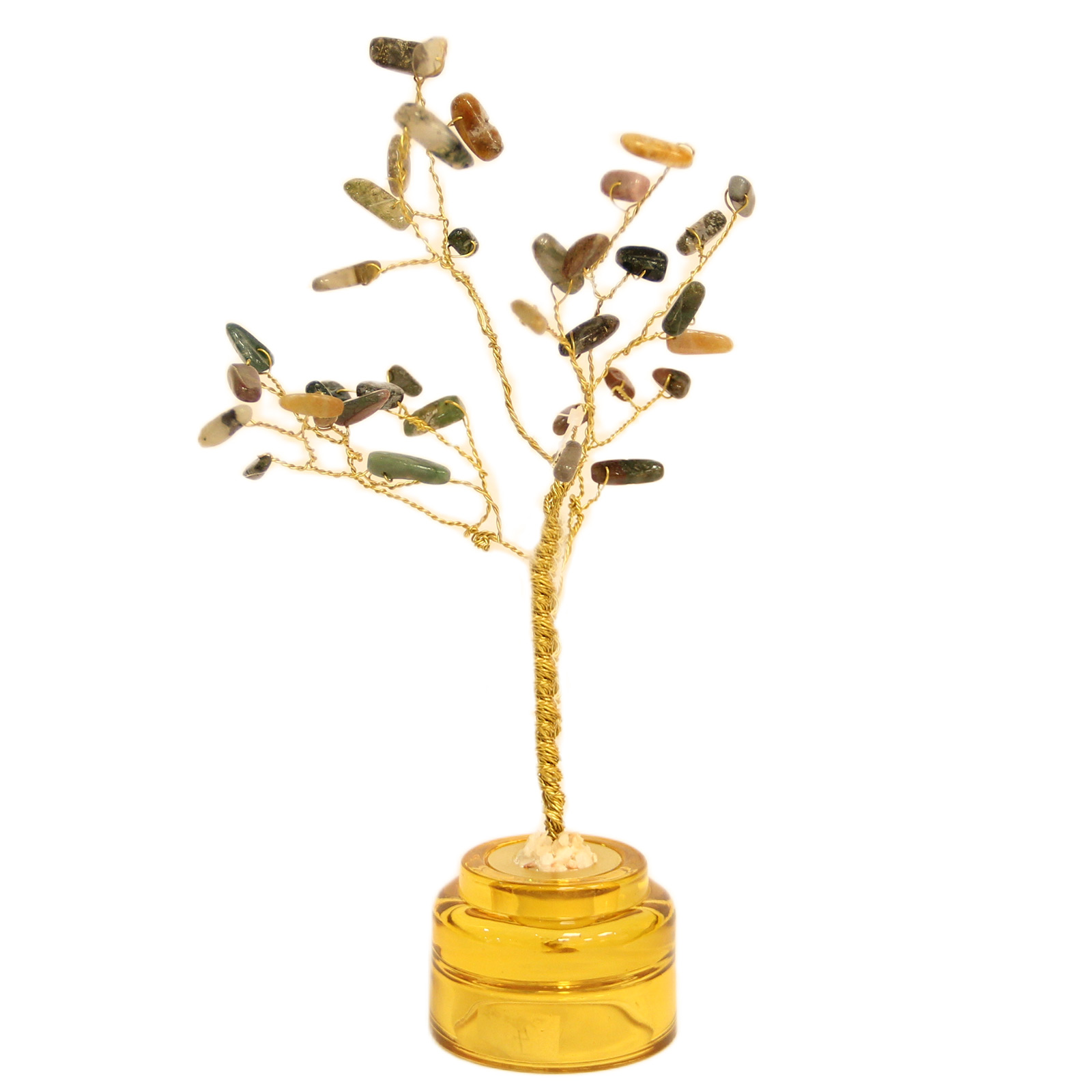 شجرة حجرعقيق طحلبي 1